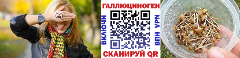 Купить закладки  Пенза  Псилоцибиновые грибы GOLDEN TEACHER 